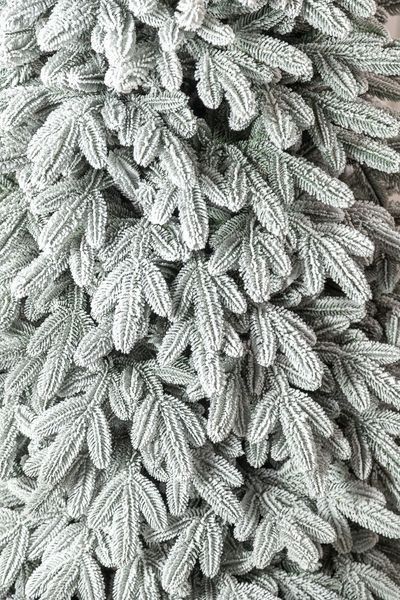 Ялинка лита "Лапландська" ЗАСНІЖЕНА "Парасолька" 3,00м 9891 фото